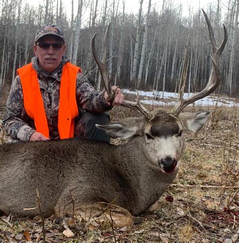 Trophy Mule Deer Hunts And Outfitters Infinity Hunts