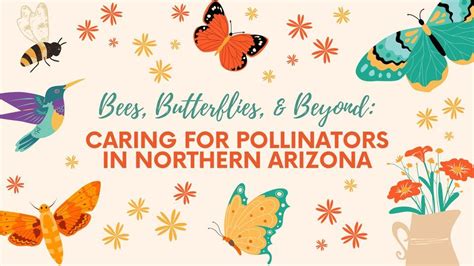 Bees Butterflies And Beyond Caring For Pollinators In Northern