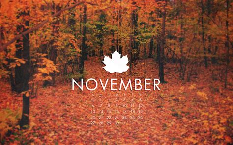 200 November Backgrounds