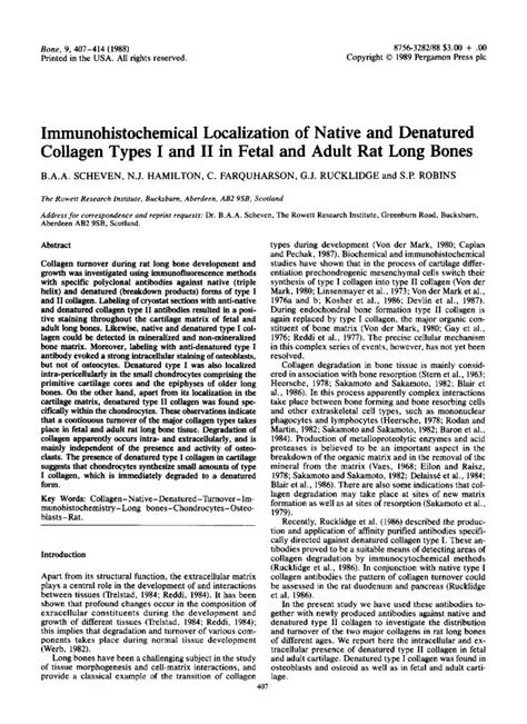 Pdf Immunohistochemical Localization Of Native And Denatured Collagen