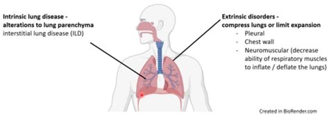 Cardiovascular And Respiratory Medicine Chapter 415 Restrictive Lung