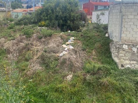 Convierten En Basurero Camino Y Puente De Mineral De La Reforma