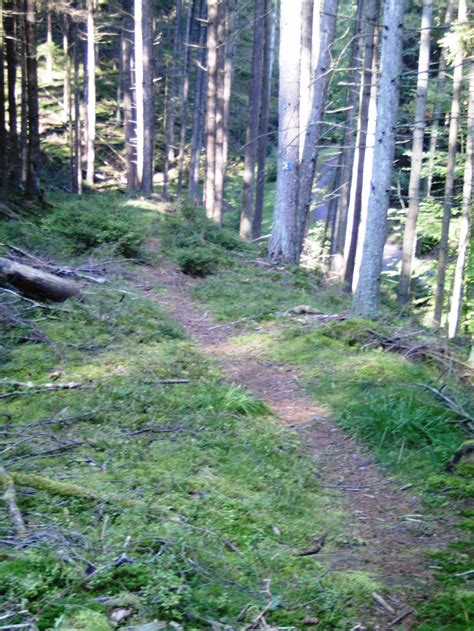 Verbindung Tour N He Eschkopf Zu Tour Hermersbergerhof Touren