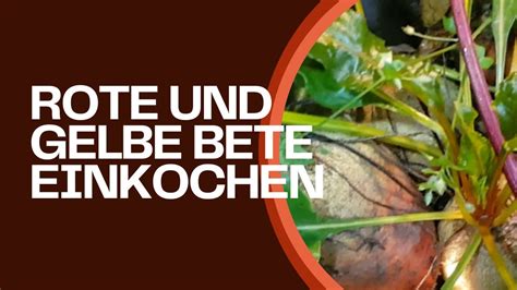 Rote Gelbe Bete Einkochen Auf Vorrat YouTube