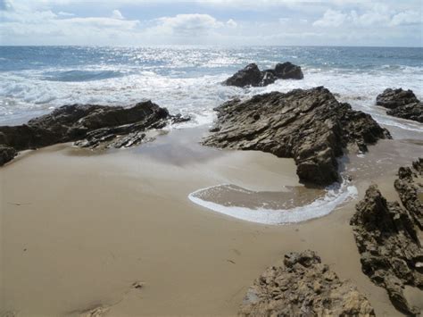 Crystal Cove State Park Reef Point Beach Laguna Beach Ca