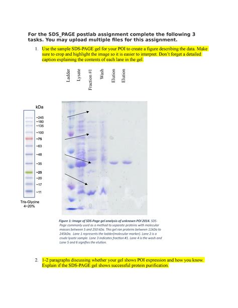 Fascinate Pebble Rainy Sds Page Protein Purification Void Eye Ore