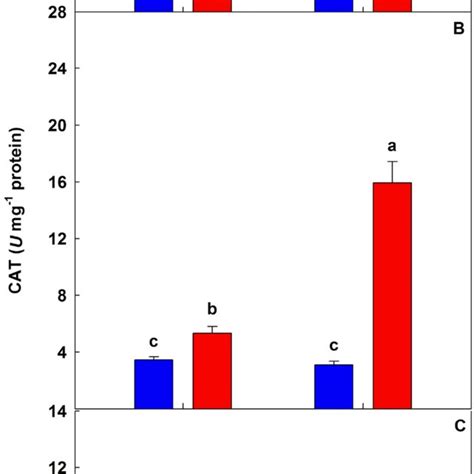 Activities Of Superoxide Dismutase Sod Catalase Cat And Ascorbate