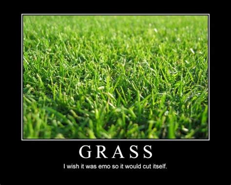 Funny Grass Quotes Shortquotes Cc