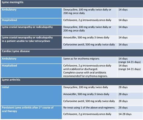 Lyme Disease Symptoms And Treatment Metagenics Institute