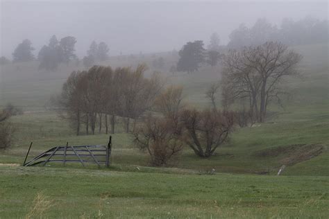 Solitude Photograph By Alana Thrower Fine Art America