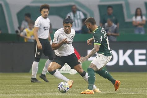 Jornalista Falou Tudo O Que Pensa Sobre Botafogo X Palmeiras Portal