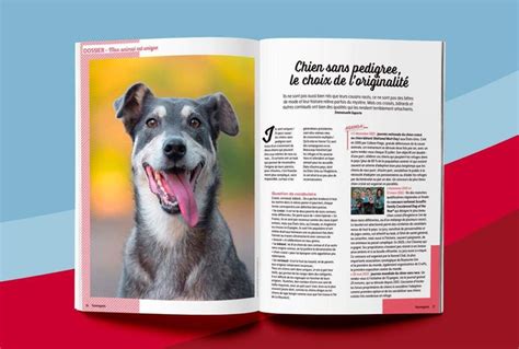 Lédition De La Rentrée Du Magazine Yummypets Est En Kiosque Yummypets