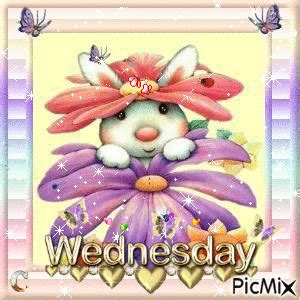 Cute Wednesday Animation wednesday wednesday quotes wednesday gifs cute ...