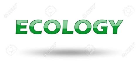 Word Ecology With Green Letters And Shadow Illustration Isolated On