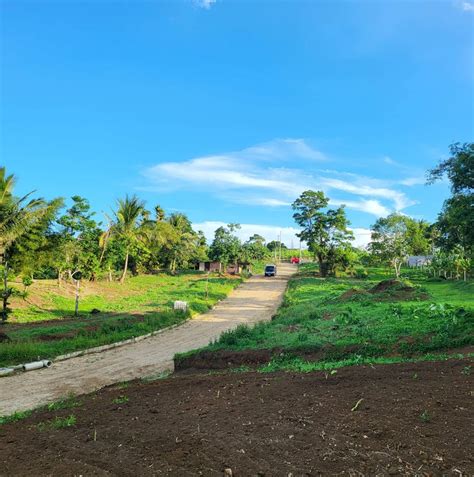 Sqm Farm Lot For Sale In Cavite Tagaytay Area Property For Sale