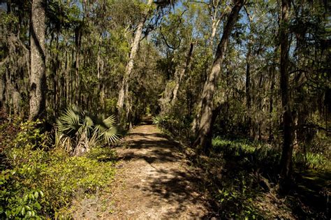 On The Road Full Time Rving: Savannah National Wildlife Refuge