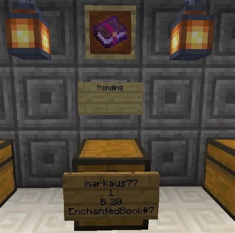 Mending Enchanted Book, Server, Minecraft, Frame, Books, Home Decor ...