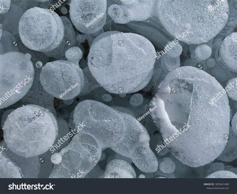 fascinating formation frozen methane ice bubbles stock photo