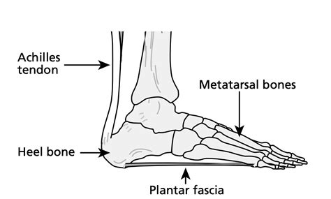 Achilles Tendonitis Nhs Atelier Yuwaciaojp