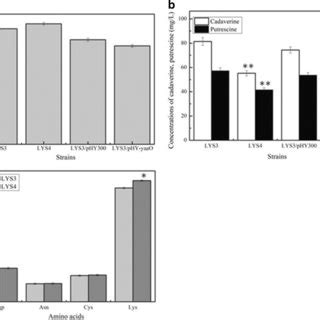 Effects Of YaaO Deletion And Overexpression On Bacitracin Production A