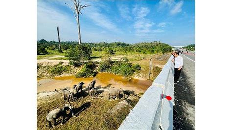 14 Ruas Tol Di Sumatera Diminta Jokowi Beroperasi 2024 Berikut