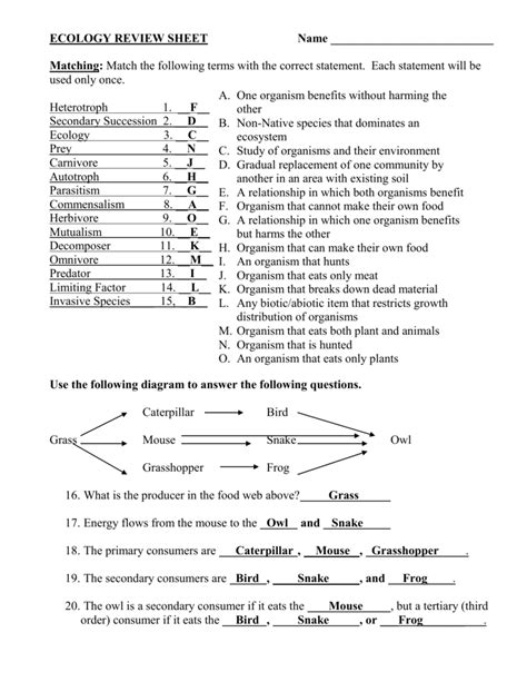 Ecology Review Worksheet Printable Word Searches