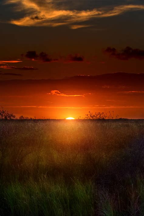 Sawgrass Sunset Photograph by Mark Andrew Thomas | Fine Art America