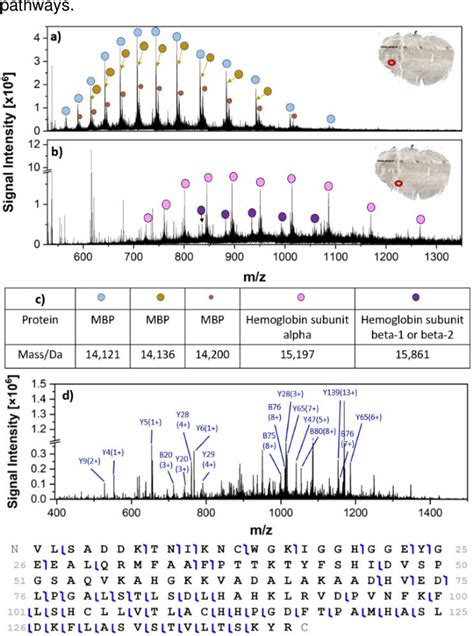 Figure From Proteoformselective Imaging Of Tissues Using Mass