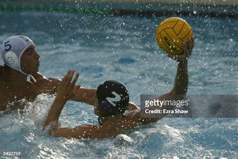 Santo Perrone Fotografías E Imágenes De Stock Getty Images