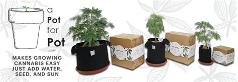 Pot Grow Kit | Marijuana Seeds For Sale