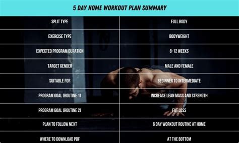 Day Home Workout Plan With Pdf No Equipment