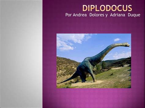 Diplodocus Ppt