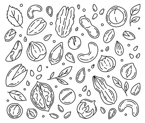 Nuts And Seeds Linear Set Of Icons Doodle Style Vector Art At