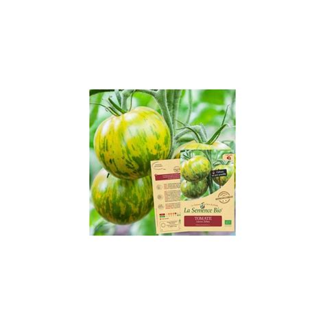 Tomate Green Zebra Bio