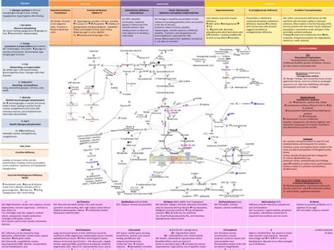 Biochemistry Metabolic Pathways And Pathologies Biochemistry Organic