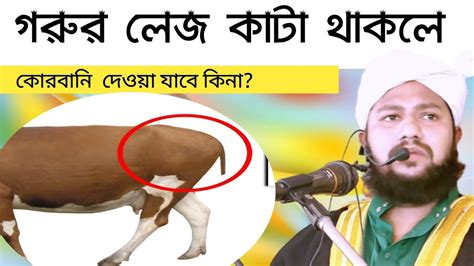 গরুর কোন কোন সমস্যা থাকলে কোরবানি হবে না Youtube