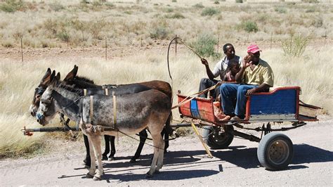 Fp Namibia Empower To Adapt Creating Climate Change Resilient