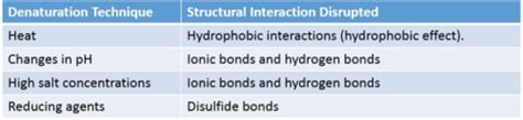 Amino Acids Peptide Bonds Protein Structure And Enzymes Flashcards