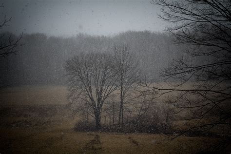 Snowstorm In Saugerties Ny Saugerties Snow Storm Take Me Home