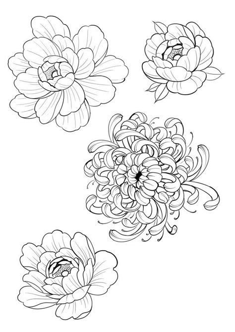 Pin By Molly Cochran On Quick Saves In 2024 Flower Tattoo Drawings