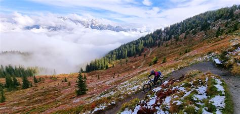 Truly Epic Day Mountain Biking In Leogang Bike Park This Photo Was