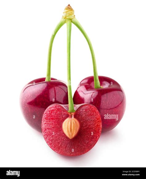 Isolated Cherries Three Sweet Cherry Fruits On One Stem One Cut In