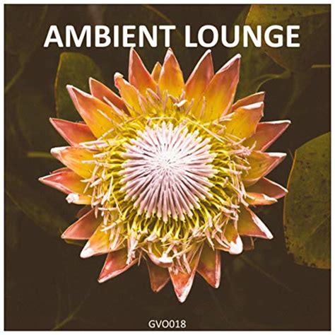 Play Ambient Lounge by VARIOUS ARTISTS on Amazon Music