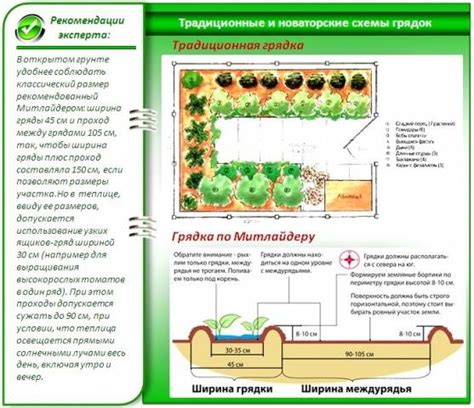 Narrow beds using the Mitlider method – Healthy Food Near Me