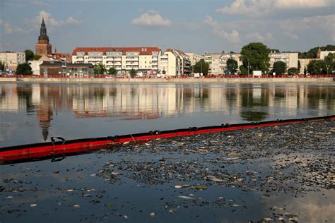 Katastrofa ekologiczna na Odrze Niemcy bliżej wskazania przyczyn OKO