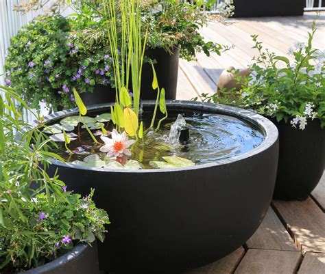 Mini vijver voor in de tuin – Artofit