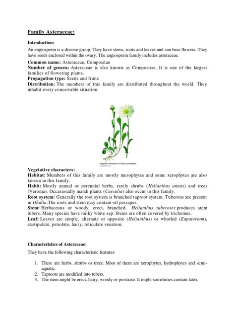 Family Asteraceae | PDF | Plants | Botany