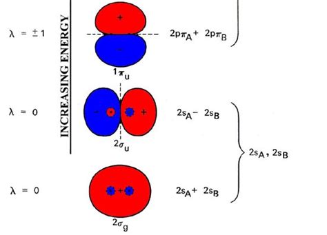 Molecular Orbitals Molecular Orbitals For Homonuclear Diatomics