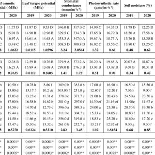 Effect Of Different Mulches And Irrigation Intervals On Water Related