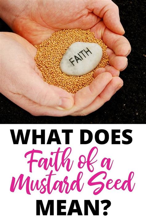 Ways To Obtain Faith Of A Mustard Seed Mustard Seed Mustard Seed